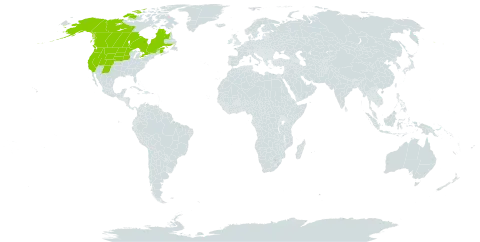 Amelanchier alnifolia world distribution map, present in Canada and United States of America