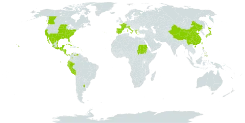 Ammannia coccinea world distribution map, present in Argentina, Antigua and Barbuda, Bonaire, Sint Eustatius and Saba, Bahamas, Belize, Barbados, Canada, China, Colombia, Costa Rica, Cuba, Cayman Islands, Dominica, Ecuador, Spain, France, Guadeloupe, Greece, Grenada, Guatemala, Guam, Honduras, Italy, Jamaica, Japan, Mexico, Northern Mariana Islands, Martinique, Nicaragua, Panama, Peru, Philippines, Puerto Rico, Portugal, Sudan, Turks and Caicos Islands, Taiwan, Province of China, United States of America, and Venezuela (Bolivarian Republic of)