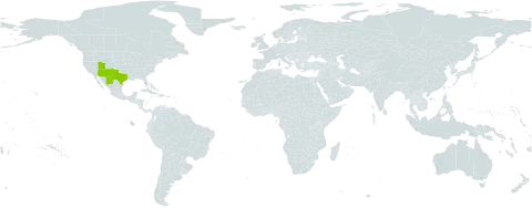 Amsonia tomentosa var. stenophylla world distribution map, present in Mexico and United States of America