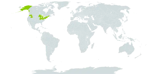 Andromeda world distribution map, present in United States of America