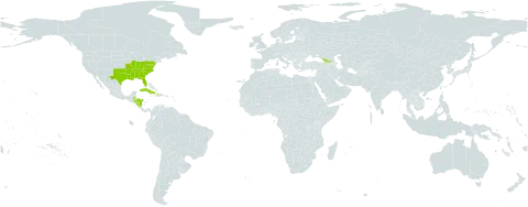 Andropogon gyrans world distribution map, present in Åland Islands, Belize, Cuba, Dominica, Georgia, Honduras, Haiti, Nicaragua, and United States of America
