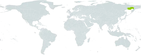 Androsace kuvajevii world distribution map, present in Russian Federation