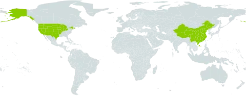 Androsace world distribution map, present in China and United States of America