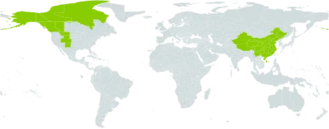 Androsace lehmanniana world distribution map, present in Canada, China, and United States of America