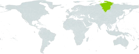 Androsace sajanensis world distribution map, present in Russian Federation