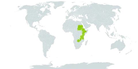 Aneilema hirtum world distribution map, present in Ethiopia, Kenya, Sudan, Tanzania, United Republic of, Uganda, and Zambia