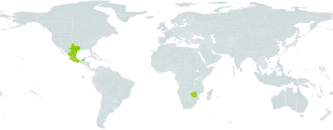 Anisacanthus quadrifidus world distribution map, present in Mexico, United States of America, and Zimbabwe