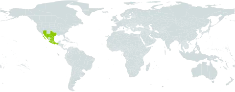 Anoda crenatiflora world distribution map, present in Mexico and United States of America