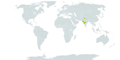 Anogramma reichsteinii world distribution map, present in India and Nepal