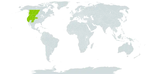 Antennaria dimorpha world distribution map, present in Canada and United States of America