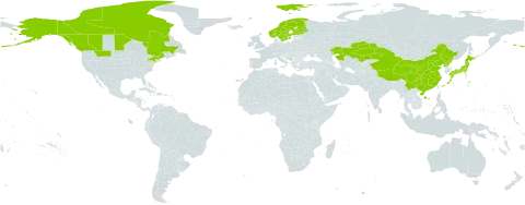 Anthoxanthum monticola world distribution map, present in Canada, China, Finland, France, Japan, Kazakhstan, Montenegro, Norway, Korea (Democratic People's Republic of), Svalbard and Jan Mayen, Sweden, and United States of America