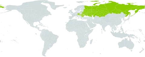 Anthoxanthum repens world distribution map, present in Austria, Bulgaria, Belarus, Czech Republic, Hungary, Kazakhstan, Romania, Russian Federation, and Ukraine