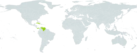 Anthurium fendleri world distribution map, present in Cuba, Panama, and Venezuela (Bolivarian Republic of)