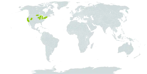 Anthyllis world distribution map, present in United States of America