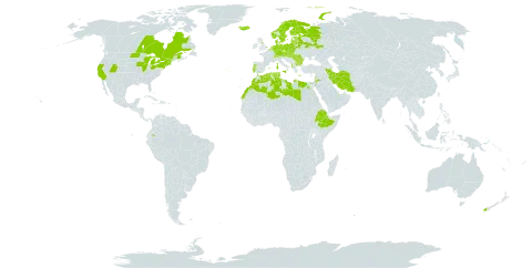 Anthyllis vulneraria world distribution map, present in Albania, Austria, Belgium, Bulgaria, Belarus, Canada, Switzerland, Czech Republic, Germany, Denmark, Algeria, Ecuador, Egypt, Spain, Estonia, Ethiopia, Finland, France, Faroe Islands, United Kingdom of Great Britain and Northern Ireland, Greece, Hungary, Iran (Islamic Republic of), Iceland, Italy, Jordan, Lebanon, Libya, Lithuania, Latvia, Morocco, Malta, Netherlands, Norway, New Zealand, Poland, Portugal, Romania, Russian Federation, Slovakia, Sweden, Tunisia, and United States of America
