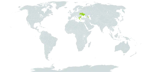 Anthyllis vulneraria subsp. pulchella world distribution map, present in Albania, Bulgaria, Greece, Russian Federation, and Ukraine