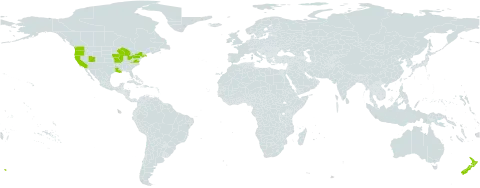 Antirrhinum world distribution map, present in New Zealand and United States of America