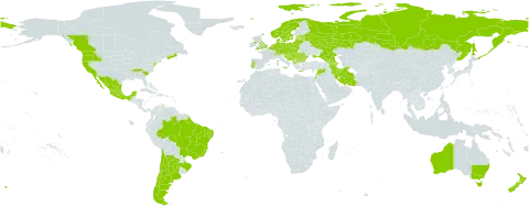 Aphanes arvensis world distribution map, present in Albania, Andorra, Argentina, Armenia, Australia, Austria, Azerbaijan, Belgium, Bulgaria, Bosnia and Herzegovina, Brazil, Canada, Switzerland, Chile, Cyprus, Czech Republic, Germany, Denmark, Spain, Estonia, France, United Kingdom of Great Britain and Northern Ireland, Georgia, Greece, Croatia, Hungary, Iran (Islamic Republic of), Israel, Italy, Lebanon, Liechtenstein, Lithuania, Luxembourg, Latvia, Mexico, North Macedonia, Montenegro, Netherlands, Norway, New Zealand, Poland, Portugal, Romania, Russian Federation, Serbia, Slovakia, Slovenia, Sweden, Syrian Arab Republic, Ukraine, and United States of America