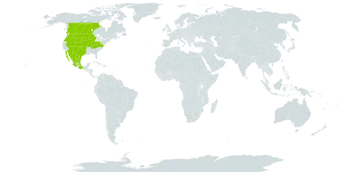 Aphyllon ludovicianum world distribution map, present in Canada, Mexico, and United States of America