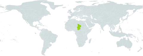 Aponogeton fotianus world distribution map, present in Chad