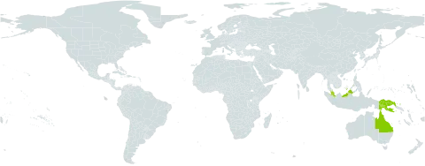 Aponogeton loriae world distribution map, present in Australia, Malaysia, and Papua New Guinea
