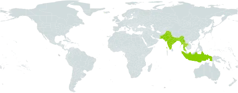 Aponogeton undulatus world distribution map, present in Bangladesh, Indonesia, India, Iceland, Myanmar, Malaysia, Pakistan, and Thailand