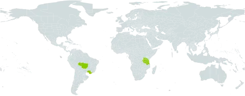 Arachis villosulicarpa world distribution map, present in Brazil and Tanzania, United Republic of