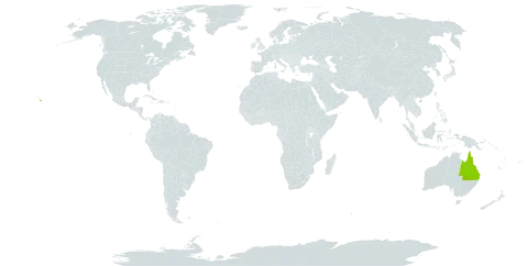 Archontophoenix world distribution map, present in Australia and United States of America