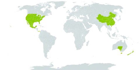 Argemone world distribution map, present in Australia, China, Mexico, New Zealand, Panama, and United States of America