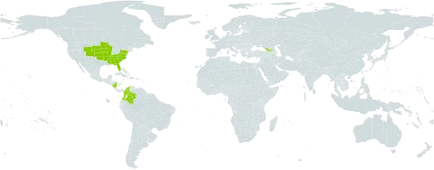 Aristida curtissii world distribution map, present in Åland Islands, Colombia, Georgia, Nicaragua, and United States of America
