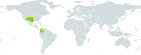 Aristida havardii world distribution map, present in Colombia, Guatemala, and United States of America