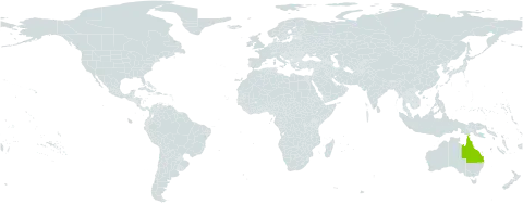 Aristida muricata world distribution map, present in Australia