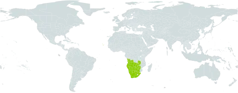 Aristida pilgeri world distribution map, present in Angola, Botswana, Cabo Verde, Namibia, South Africa, Zambia, and Zimbabwe