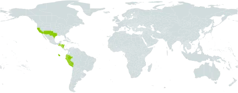 Aristida schiedeana world distribution map, present in Ecuador, Guatemala, Honduras, Nicaragua, Peru, and United States of America