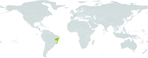 Aristolochia tamnifolia world distribution map, present in Brazil
