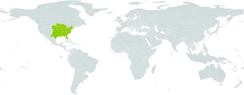 Arnoglossum world distribution map, present in United States of America