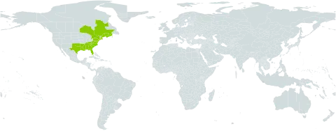Aronia arbutifolia world distribution map, present in Canada, France, and United States of America