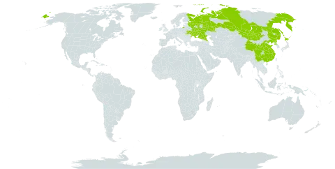 Artemisia argyi world distribution map, present in China, Japan, Mongolia, Korea (Democratic People's Republic of), Russian Federation, and Ukraine