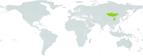 Artemisia blepharolepis world distribution map, present in China and Mongolia