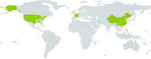 Artemisia campestris world distribution map, present in China, France, and United States of America