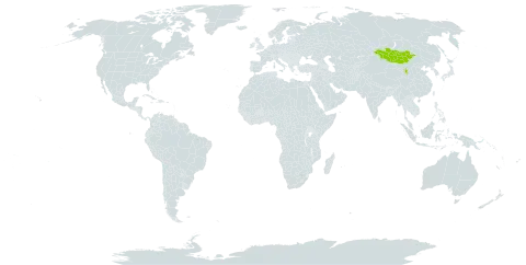 Artemisia globosoides world distribution map, present in China and Mongolia