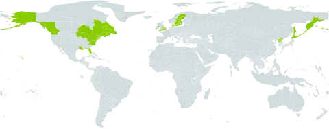 Artemisia stelleriana world distribution map, present in Canada, Denmark, France, United Kingdom of Great Britain and Northern Ireland, Japan, Korea (Democratic People's Republic of), Russian Federation, Saint Pierre and Miquelon, Sweden, and United States of America