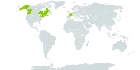 Aruncus sylvester world distribution map, present in Canada, France, and United States of America