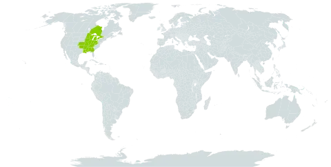 Asclepias hirtella world distribution map, present in Canada and United States of America