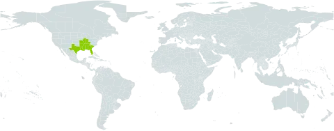 Asclepias perennis world distribution map, present in United States of America