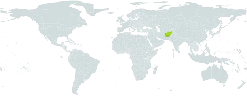 Asperula podlechii world distribution map, present in Afghanistan