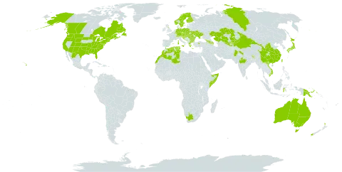 Asplenium trichomanes world distribution map, present in Andorra, Armenia, Australia, Austria, Azerbaijan, Bulgaria, Bosnia and Herzegovina, Bhutan, Canada, Switzerland, China, Czech Republic, Germany, Algeria, Spain, Finland, France, United Kingdom of Great Britain and Northern Ireland, Georgia, Greece, Croatia, Hungary, Indonesia, India, Italy, Japan, Kazakhstan, Kyrgyzstan, Liechtenstein, Luxembourg, Morocco, Mexico, North Macedonia, Montenegro, Norway, Nepal, New Zealand, Pakistan, Papua New Guinea, Poland, Romania, Russian Federation, San Marino, Somalia, Serbia, Slovakia, Slovenia, Sweden, Tajikistan, Tunisia, Turkey, Taiwan, Province of China, Ukraine, United States of America, Uzbekistan, Viet Nam, and South Africa