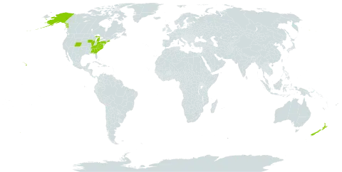 Aster world distribution map, present in New Zealand and United States of America
