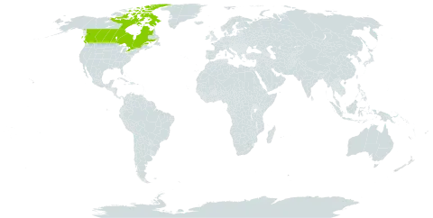 Astragalus aboriginorum world distribution map, present in Canada