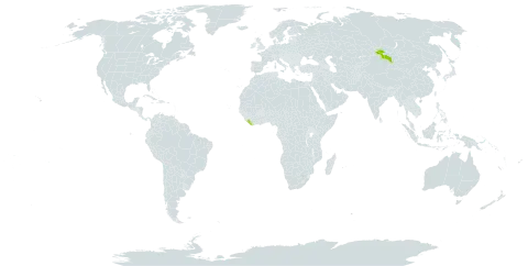 Astragalus argutensis world distribution map, present in Liberia and Mongolia